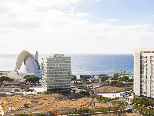 Apartment Santa Cruz de Tenerife, studio flat, 2 persons - photo_1011873944503