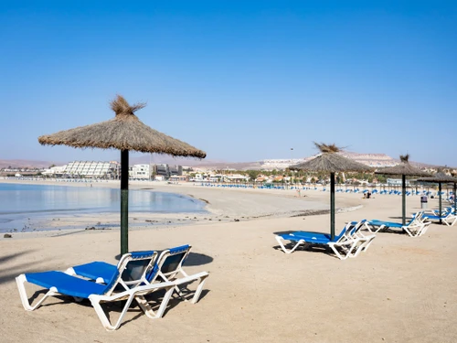 Apartment Puerto del Rosario, 1 bedroom, 3 persons - photo_1011873860649