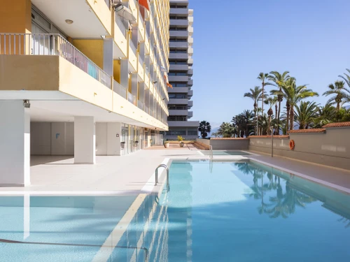 Apartment Puerto de la Cruz, studio flat, 3 persons - photo_1011874072333