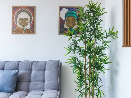 Apartment Las Palmas de Gran Canaria, 1 bedroom, 3 persons - photo_1011873944146