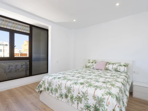 Apartment Santa Cruz de Tenerife, 1 bedroom, 2 persons - photo_1011874067887