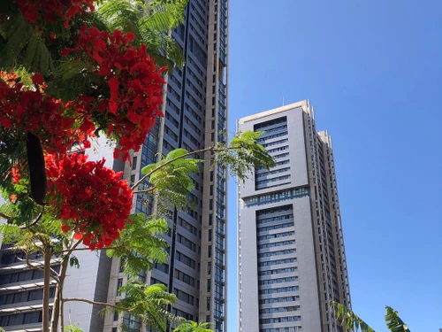 Apartment Santa Cruz de Tenerife, 1 bedroom, 2 persons - photo_1011874105517