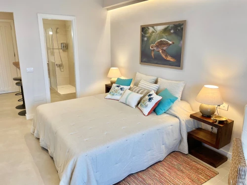 Apartment Santa Cruz de Tenerife, studio flat, 2 persons - photo_1011874126159