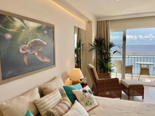 Apartment Santa Cruz de Tenerife, studio flat, 2 persons - photo_1011874126159