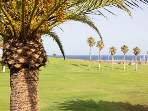 Apartment San Miguel de Abona, 2 bedrooms, 4 persons - photo_1011877474598