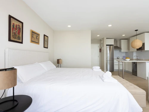 Apartment Santa Cruz de Tenerife, studio flat, 2 persons - photo_1011874181355