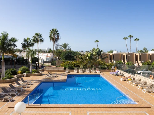 Appartement Playa de las Américas, 1 pièce, 2 personnes - photo_1011874143861