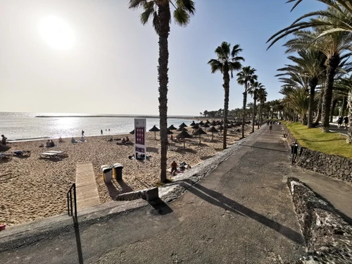 Appartement Los Cristianos, 2 pièces, 3 personnes - photo_1011874294581