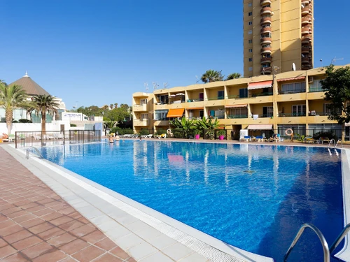 Appartement Arona, 2 pièces, 2 personnes - photo_1011874291136