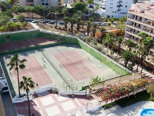 Appartement Los Cristianos, 3 pièces, 4 personnes - photo_1011874339974