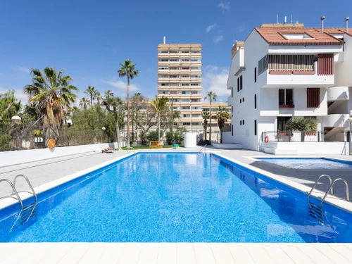 Apartment Tenerife, 2 bedrooms, 4 persons - photo_1011874474396