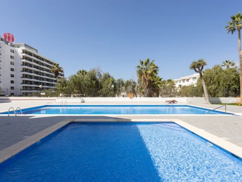 Apartment Tenerife, 2 bedrooms, 4 persons - photo_1011874474396