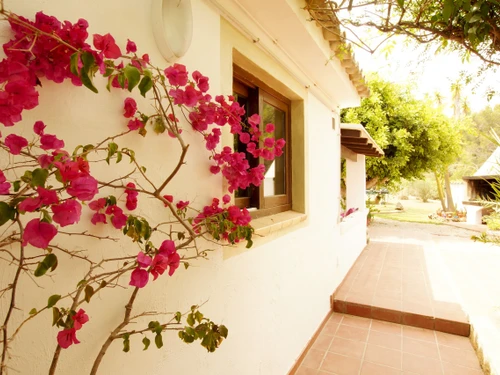 Villa Xàbia, 3 Schlafzimmer, 6 Personen - photo_1011875040840