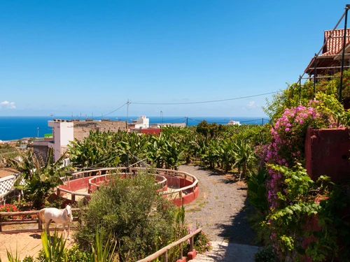 Villa Arucas, 5 dormitorios, 10 personas - photo_1011875070783