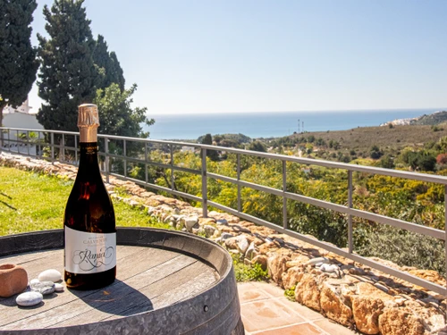 Villa Frigiliana, 6 Schlafzimmer, 10 Personen - photo_1011874955709