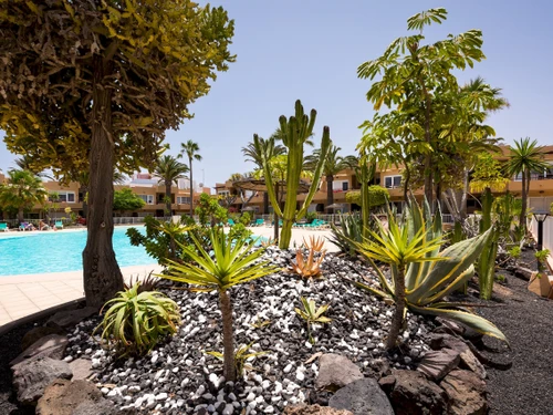 Apartamento Corralejo, 1 dormitorio, 3 personas - photo_1011873691305