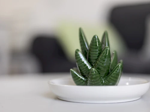 Appartement Tuineje, 3 pièces, 4 personnes - photo_1011874168173