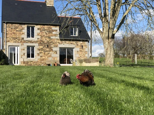 Gîte Marcilly, 3 pièces, 4 personnes - photo_1011680293594