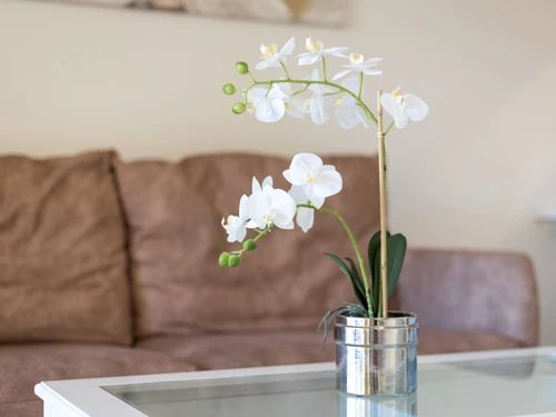 Apartamento Corralejo, 1 dormitorio, 3 personas - photo_1011873698250