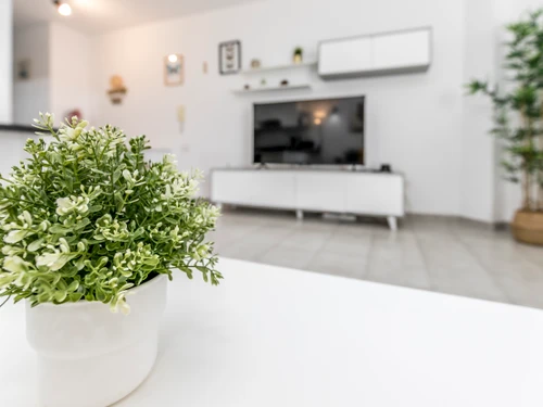 Apartamento El Médano, 1 dormitorio, 3 personas - photo_1011873729774