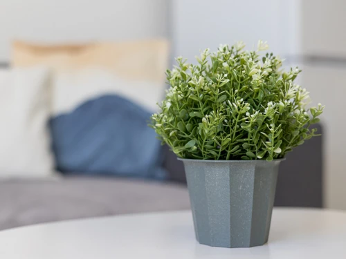 Apartamento Morro Jable, estudio, 3 personas - photo_1011873777389