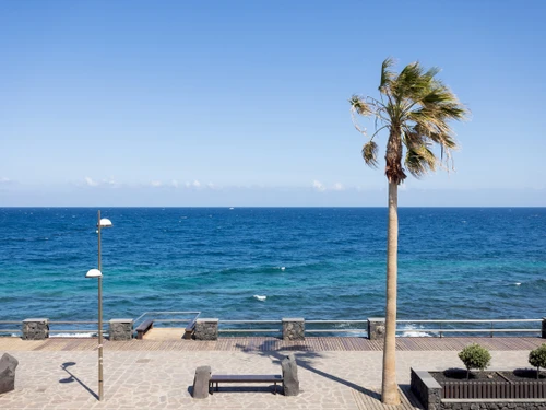 Appartement Candelaria, 3 pièces, 3 personnes - photo_1011873868854