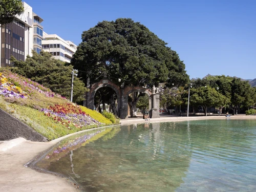 Apartment Santa Cruz de Tenerife, 1 bedroom, 2 persons - photo_1011873884963