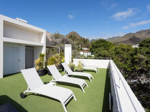 Apartment Santa Cruz de Tenerife, studio flat, 3 persons - photo_1011873891962