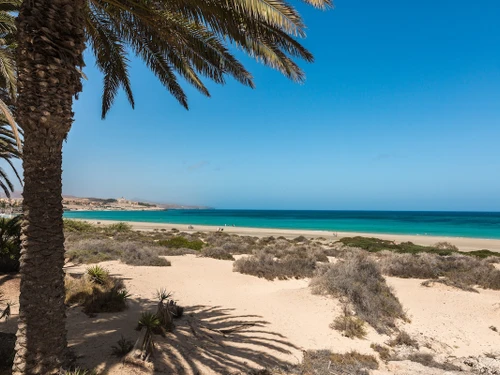 Apartamento Costa Calma, 1 dormitorio, 2 personas - photo_1011873963166