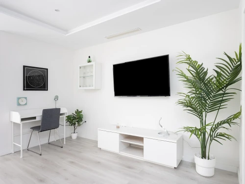 Apartment Santa Cruz de Tenerife, 1 bedroom, 3 persons - photo_1011873885584