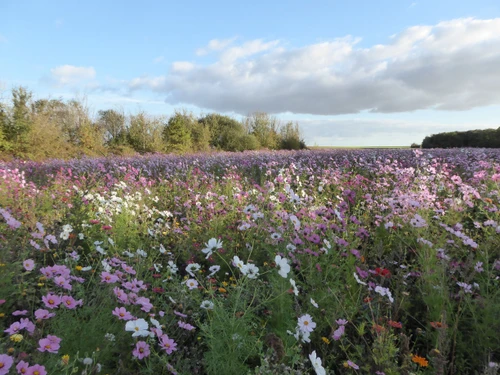 Gîte Giroux, 3 pièces, 4 personnes - photo_14993915246