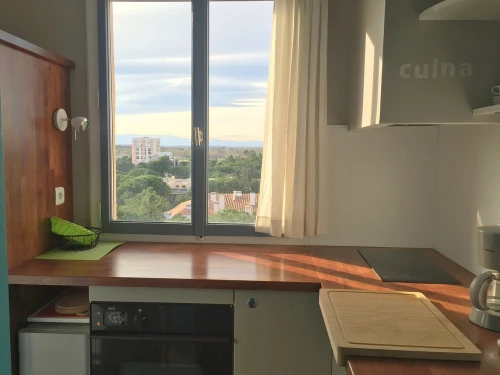 Appartement Argelès-sur-Mer, 2 pièces, 4 personnes - photo_1011952928130