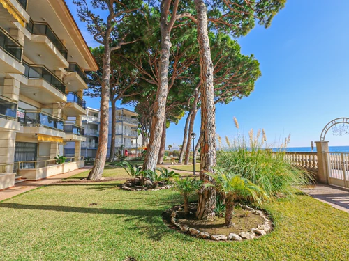 Apartment Cambrils, 2 bedrooms, 4 persons - photo_18985320947