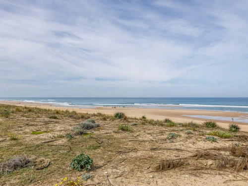 Ferienwohnung Lacanau, 2 Schlafzimmer, 4 Personen - photo_710312974