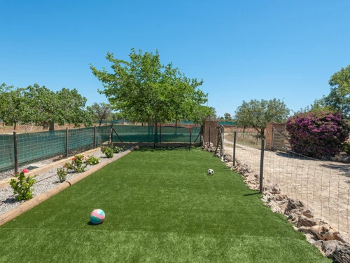 Villa Palma de Mallorca, 3 bedrooms, 6 persons - photo_1011959440927