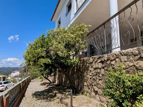 Maison Tossa de Mar, 4 pièces, 8 personnes - photo_1011793442327