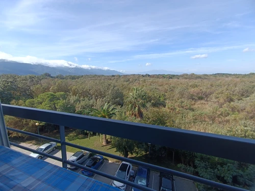 Appartement Argelès-sur-Mer, 2 pièces, 4 personnes - photo_1011382355315