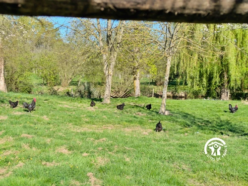 Gite Saint-Michel-de-la-Roë, 3 bedrooms, 6 persons - photo_1011961000770