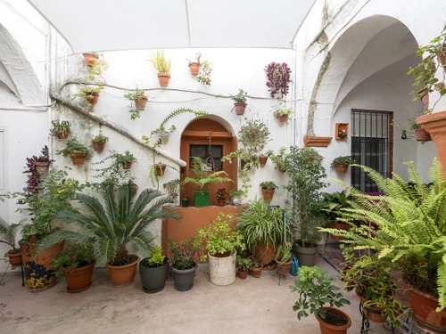 Ferienwohnung Arcos de la Frontera, 1 Schlafzimmer, 2 Personen - photo_1011963959449