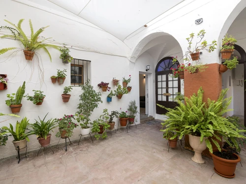 Apartment Arcos de la Frontera, 1 bedroom, 2 persons - photo_1011963959449