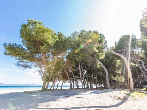 Villa Alcudia, 3 Schlafzimmer, 6 Personen - photo_1011964164748