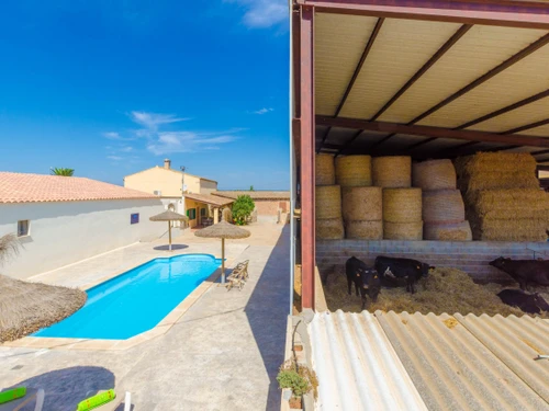 Villa Campos, 2 bedrooms, 4 persons - photo_1011964168326