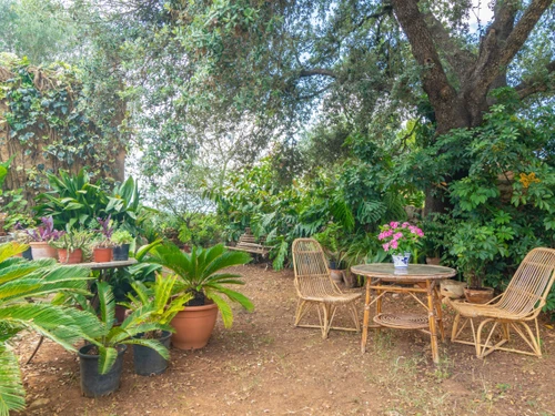 Apartment Felanitx, 2 bedrooms, 4 persons - photo_1011964213238