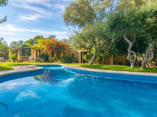 Villa Palma de Mallorca, 1 dormitorio, 2 personas - photo_1011964235618