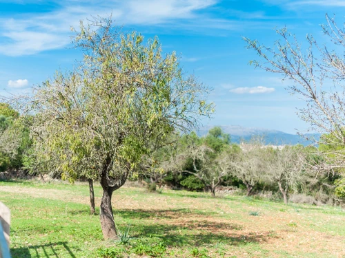 Villa Llubí, 2 Schlafzimmer, 4 Personen - photo_1011964239938