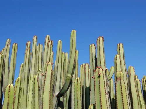 Villa San Bartolomé de Tirajana, 3 Schlafzimmer, 6 Personen - photo_1011964287211
