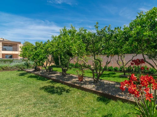 Villa Palma de Mallorca, 4 bedrooms, 4 persons - photo_1011964291281