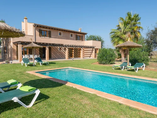 Villa Palma de Mallorca, 3 dormitorios, 6 personas - photo_1011964302907