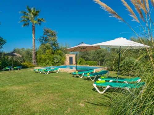 Villa Palma de Mallorca, 5 pièces, 8 personnes - photo_1011964321260
