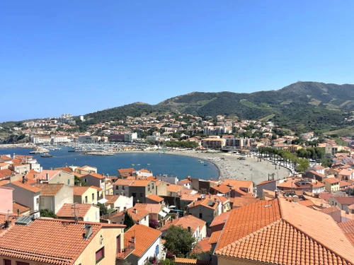 Appartement Banyuls-sur-Mer, 3 pièces, 4 personnes - photo_15849623538